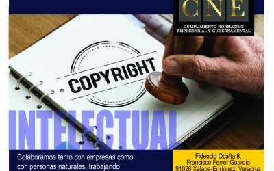 PROPIEDAD INTELECTUAL